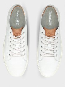 Напівчеревики Timberland Adventure 2.0 модель TB0A1TJBE02 Фото