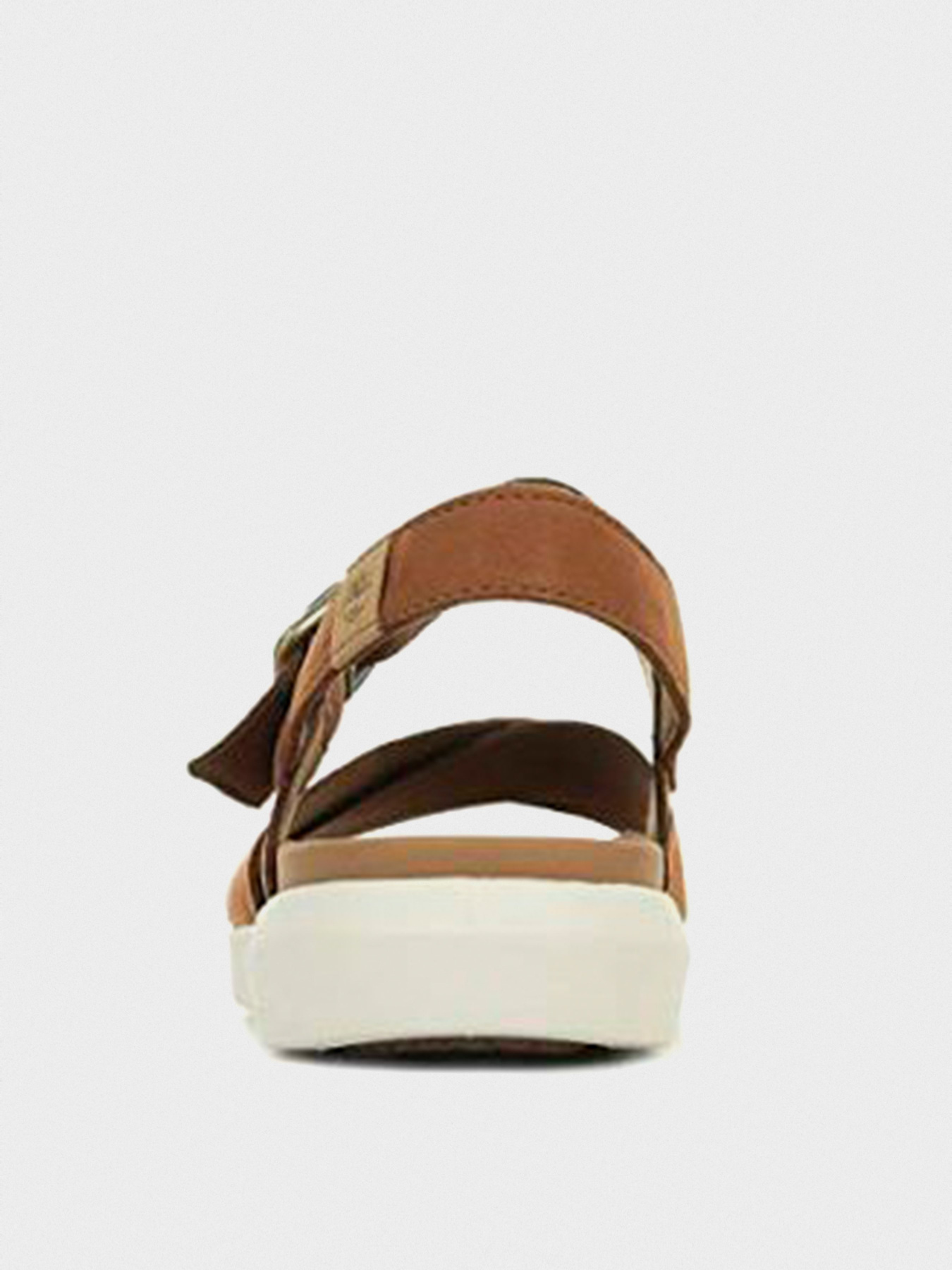 Сандалії Timberland Wilesport модель TB0A1TSNF13 Фото