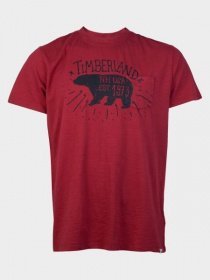 Футболки и поло Timberland модель TB0A1OCXR09 Фото