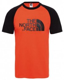 Футболки и поло The North Face Raglan Easy модель T937FV15Q Фото