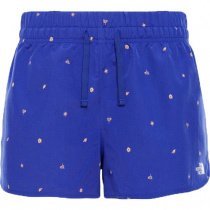 Шорты The North Face модель T93SWU9JE Фото