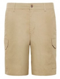 Шорты The North Face модель T93T1XPLX Фото