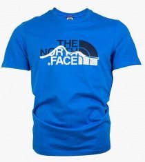 Футболки и поло The North Face Mountain Line модель T0A3G2F89 Фото