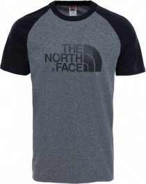 Футболки і поло The North Face Raglan Easy модель T937FVJBV Фото