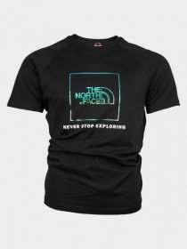 Футболки и поло The North Face Raglan Red Box модель T93BQOXEK Фото