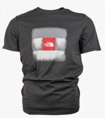 Футболки и поло The North Face Celebration Easy модель T93BQP0C5 Фото