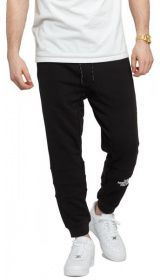 Штани спортивні The North Face модель T93RYEJK3 Фото