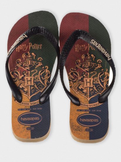 В'єтнамки Havaianas модель 4141763-0092 - фото
