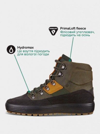 Черевики ECCO Soft 7 Tred модель 450274(51515) — фото - INTERTOP