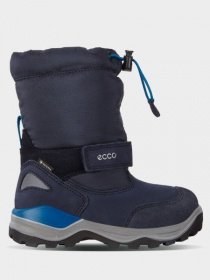 Чоботи ECCO модель 710282(50769) Фото