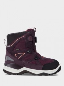 Черевики ECCO SNOW MOUNTAIN модель 710293(51532) Фото