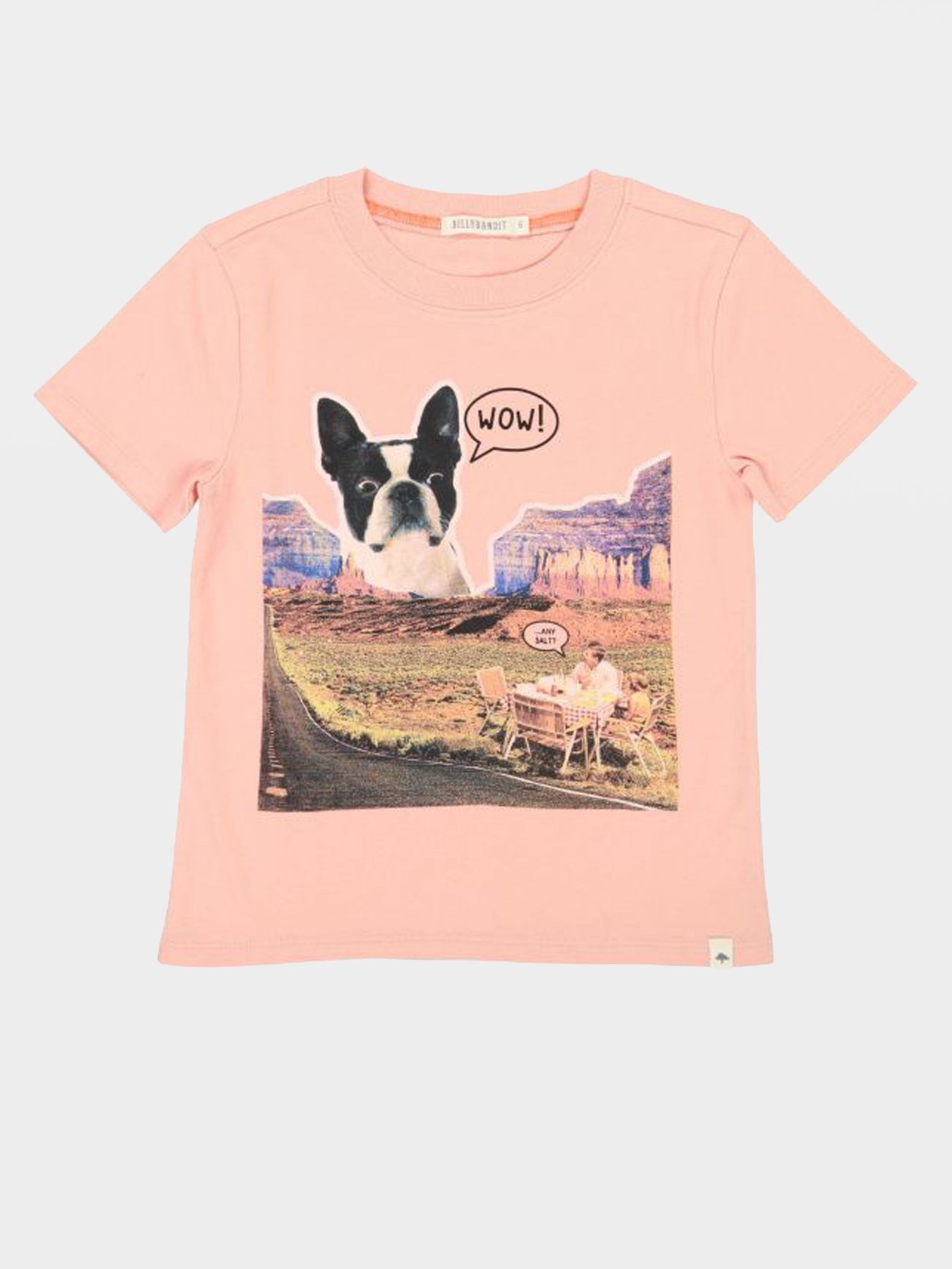 Футболки і поло Billybandit модель V25452/43G Фото