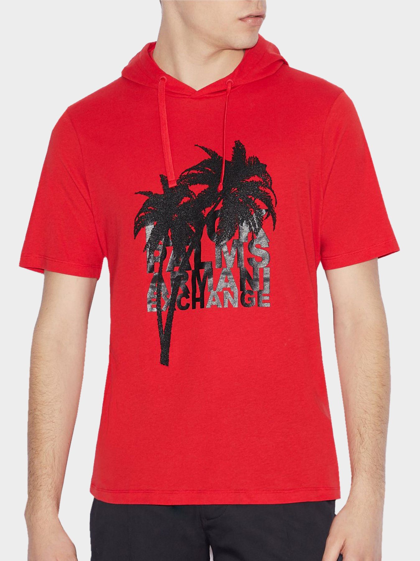 Футболки і поло Armani Exchange модель 3GZTWG-ZJH4Z-0471 Фото