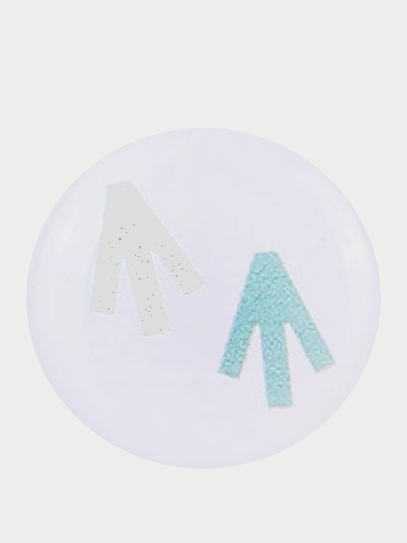 Значки ЕКО СТЕЖКА модель Значок №6 Фото