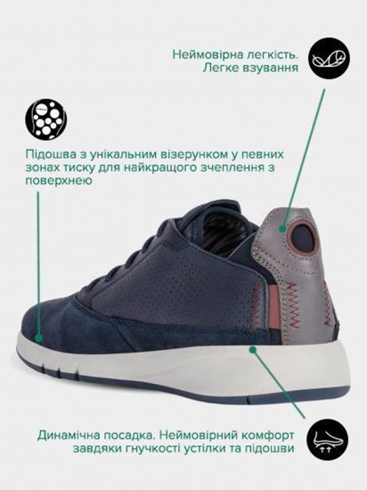 Кроссовки Geox U Aerantis модель U927FA-02243-C4064 — фото - INTERTOP