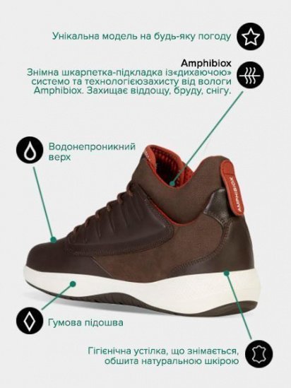 Ботинки Geox MODUAL модель U948LA-04311-C6009 — фото - INTERTOP