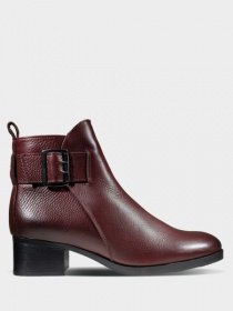 Ботильйони Clarks модель 2614-3486 Фото
