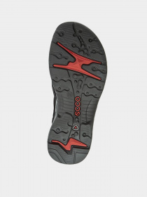 Сандалии ECCO OFFROAD модель 82204302001 Сандалии ECCO OFFROAD модель 82204302001 Фото