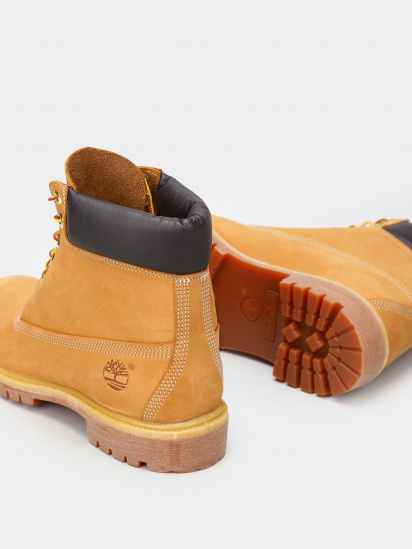 Черевики Timberland 6-Inch Premium модель TB010061713 — фото 5 - INTERTOP