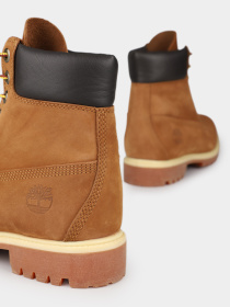 Черевики Timberland PREMIUM 6-INCH WATERPROOF модель TB072066827 Фото