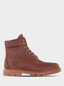 Ботинки Timberland модель TB0A29DVD60 Фото
