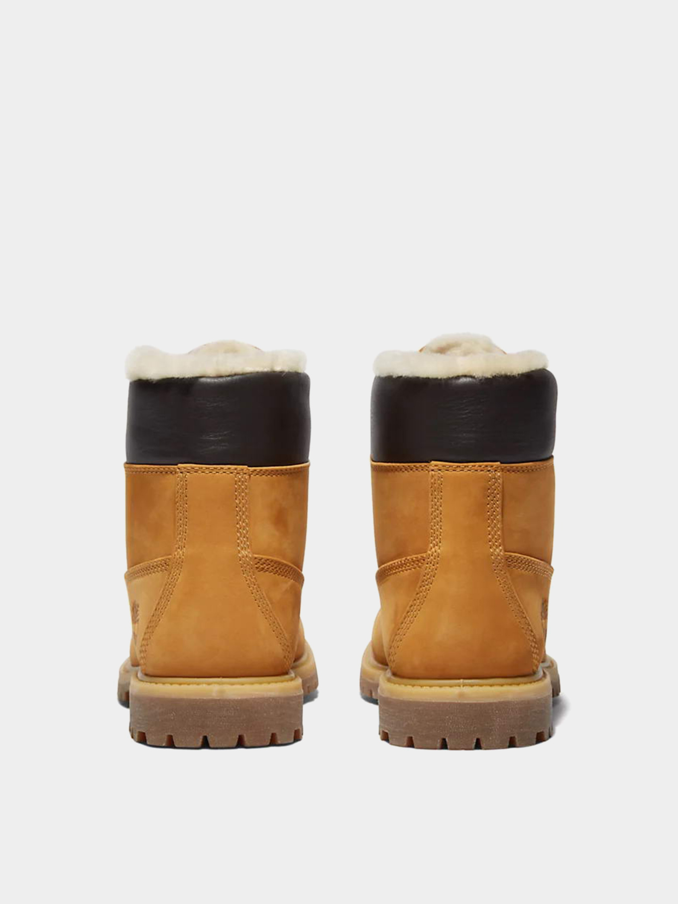 Ботинки Timberland PREMIUM 6-INCH WATERPROOF модель TB0A19TE231 Фото