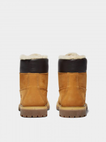 Ботинки Timberland PREMIUM 6-INCH WATERPROOF модель TB0A19TE231 Фото