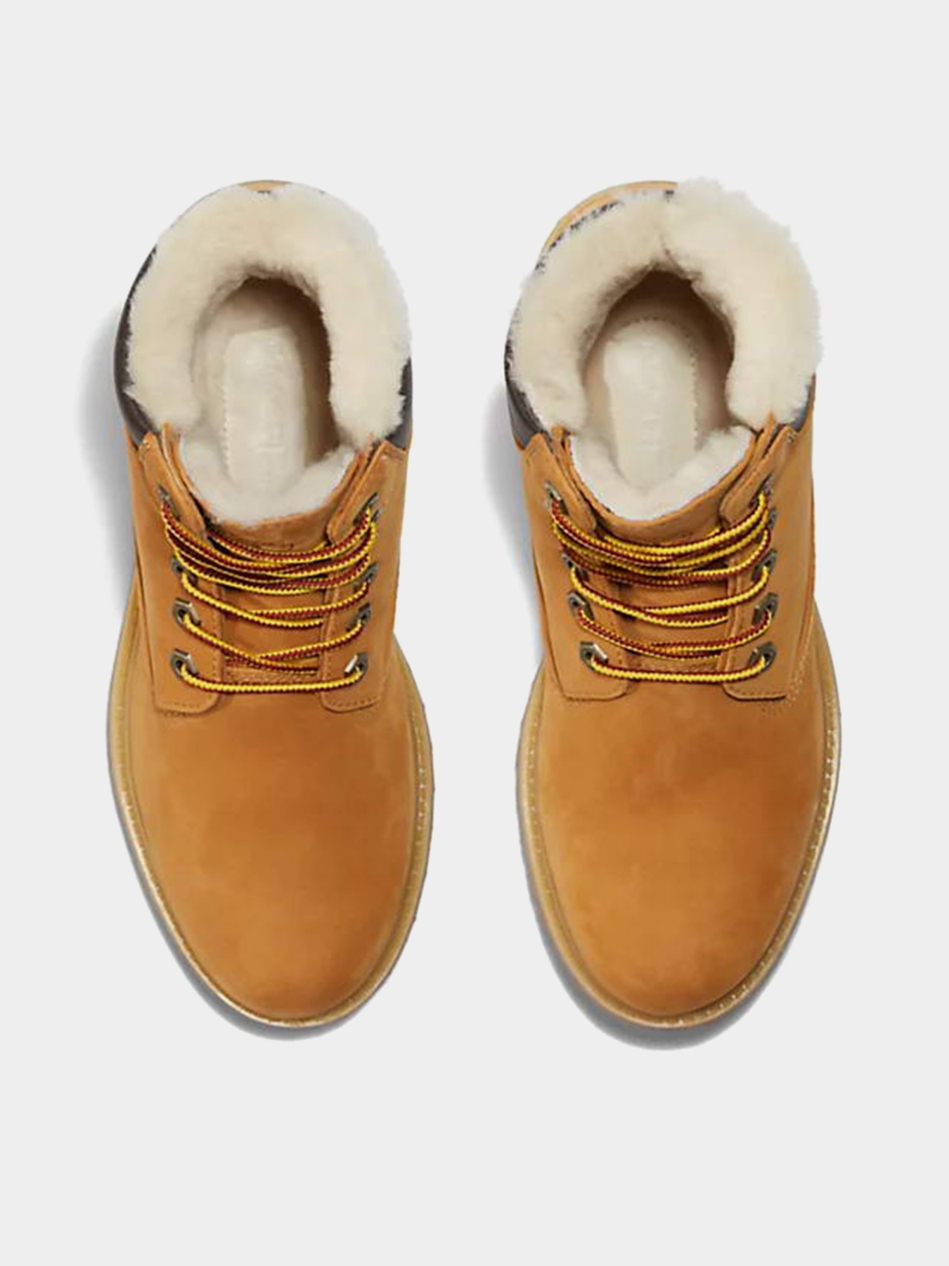 Черевики Timberland PREMIUM 6-INCH WATERPROOF модель TB0A19TE231 Фото