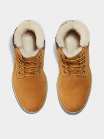 Черевики Timberland PREMIUM 6-INCH WATERPROOF модель TB0A19TE231 Фото