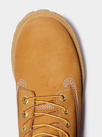 Ботинки Timberland Premium 6 Inch модель TB012909713 Фото