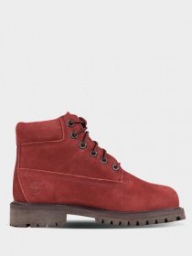 Ботинки Timberland Premium модель TB0A259CV15 Фото