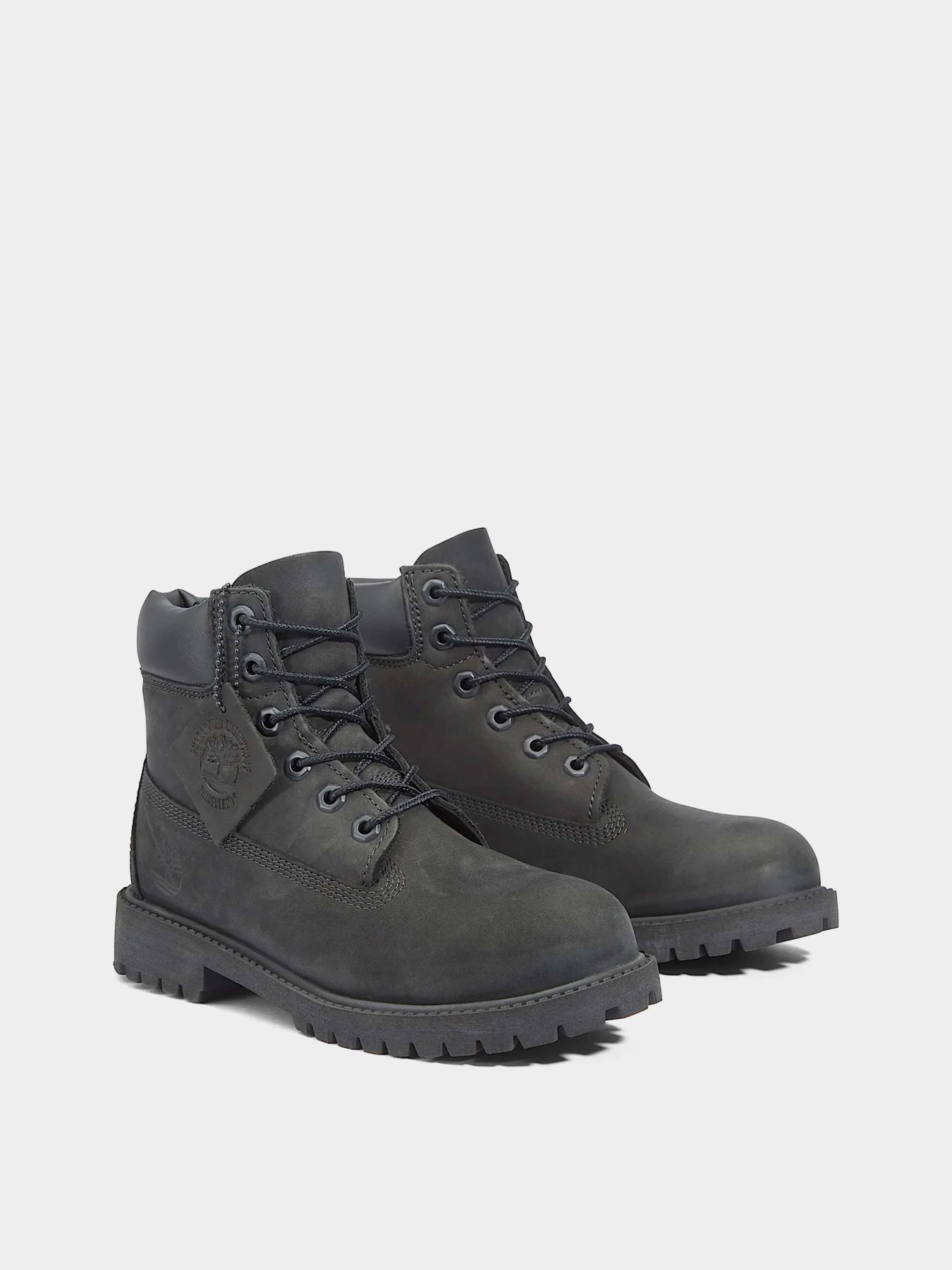 Ботинки Timberland TIMBERLAND PREMIUM WATERPROOF модель TB012907001 Фото