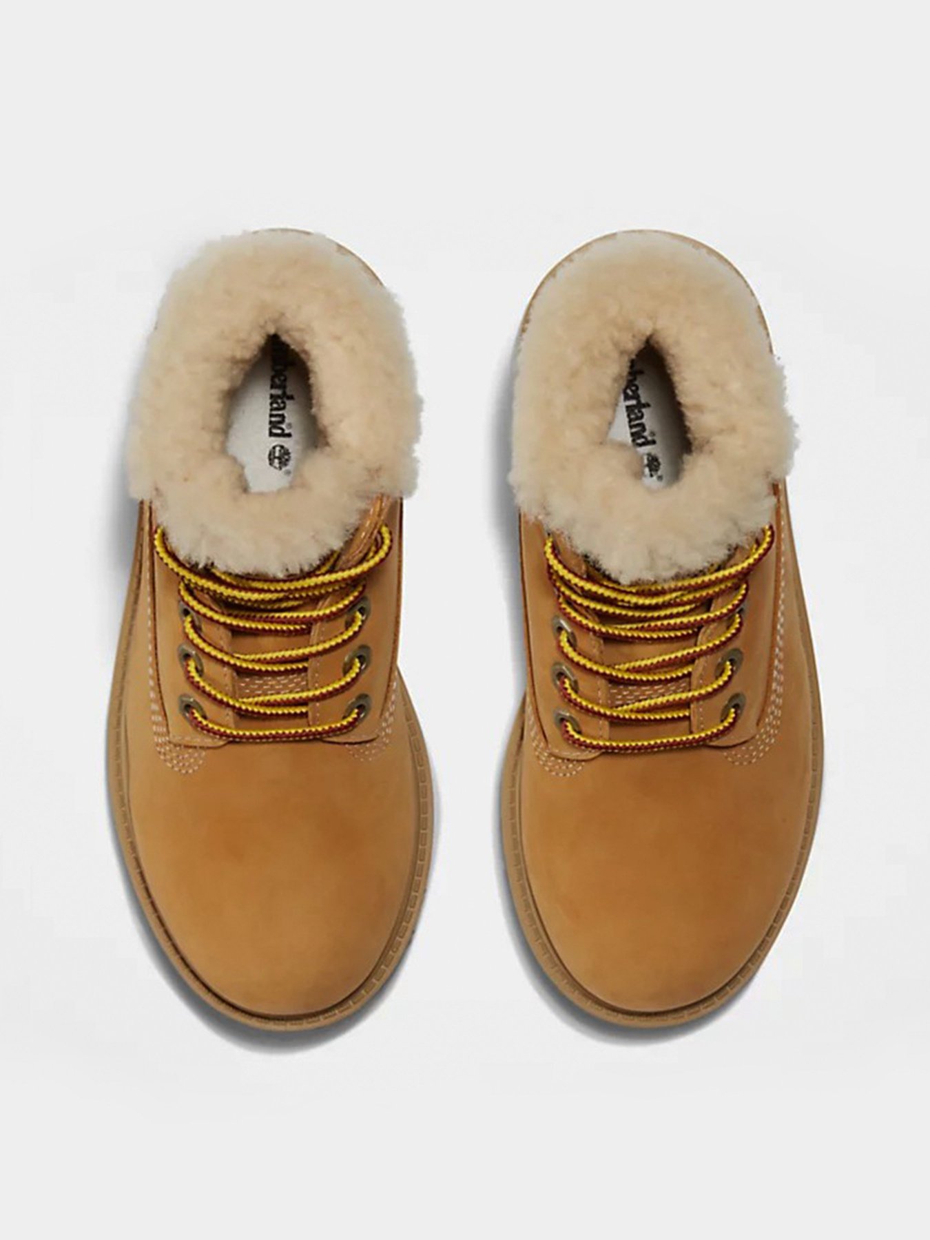 Ботинки Timberland Premium 6 Inch Winter модель TB0A1BEI231 Фото
