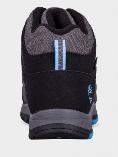 Ботинки Timberland Neptune Park Gore-Tex Mid Hiker модель TB0A21UR015 — фото 3 - INTERTOP