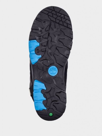 Ботинки Timberland Neptune Park Gore-Tex Mid Hiker модель TB0A21UR015 — фото 4 - INTERTOP