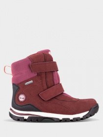 Черевики Timberland Jiminy Peak модель TB0A1U2S631 Фото