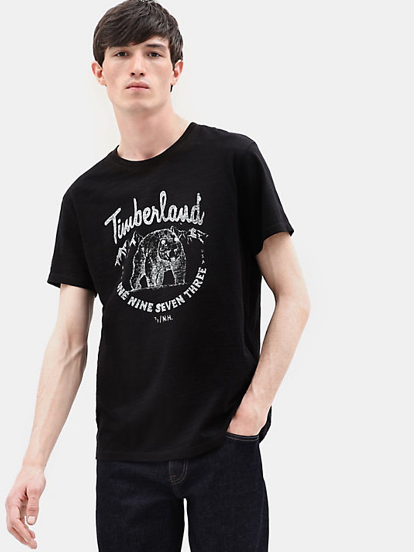 Футболки и поло Timberland модель TB0A1YSX001 Фото