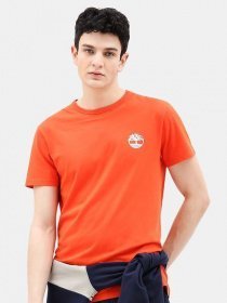 Футболки и поло Timberland модель TB0A1Y6R845 Фото