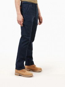 Брюки Timberland Squam Lake модель TB0A1NX443332 Фото