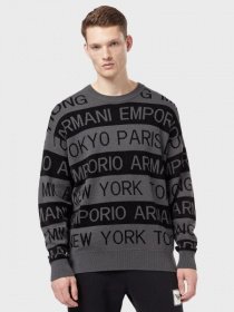 Кофта Emporio Armani модель 6G1MYF-1MZPZ-F613 Фото