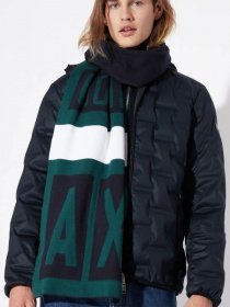 Шарф Armani Exchange модель 6GZ41B-ZMS4Z-7590 Фото