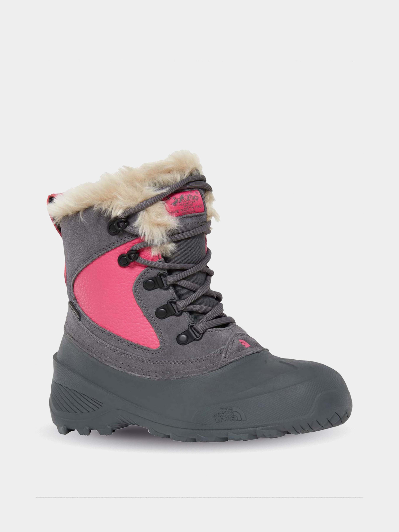 Ботинки The North Face Shellista Extreme модель NF0A2T5VH7D1 Фото