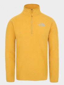 Свитшот The North Face модель NF0A2UARCZ21 Фото