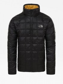 Куртка The North Face модель NF0A3L1AG801 Фото