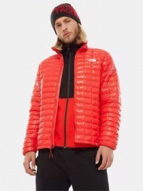 Куртка The North Face модель NF0A3Y3N15Q1 Фото