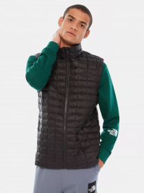 Жилет с утеплителем The North Face модель NF0A3Y3OXYM1 Фото
