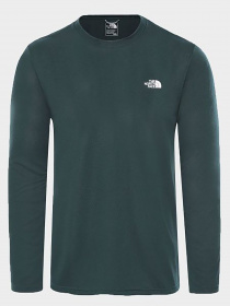 Реглан The North Face модель NF0A2UADDW21 Фото