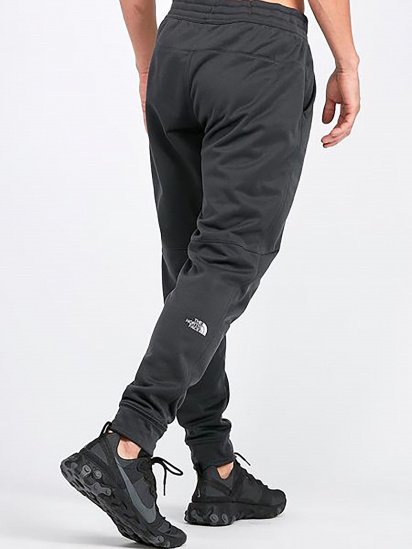Штани повсякденні The North Face Surgent модель NF0A3UWIDYZ1 — фото - INTERTOP