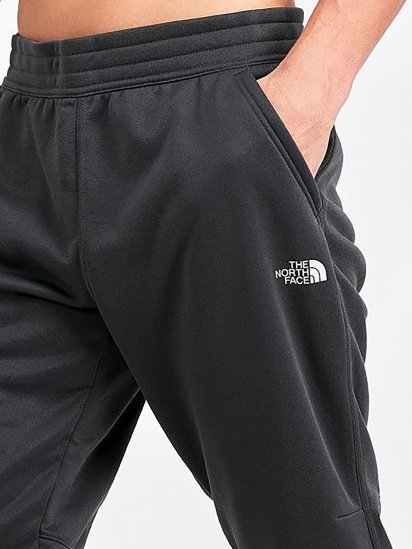 Штани повсякденні The North Face Surgent модель NF0A3UWIDYZ1 — фото 3 - INTERTOP