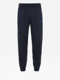 Спортивні штани The North Face Surgent модель NF0A3UWILD71 Фото